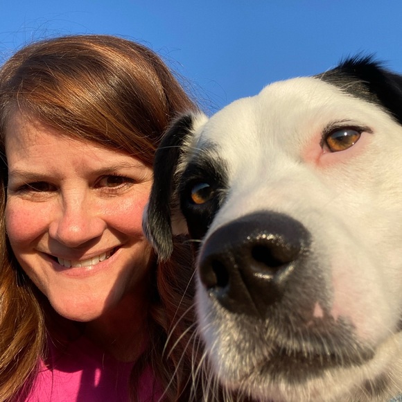 Meet your Posher, Michael - Picture 1 of 2